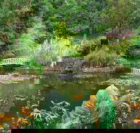 Hobart Half-Day Sightseeing Coach Tram Tour - Accommodation Mermaid Beach