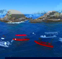 3-Hour Byron Bay Certified Scuba Diving Tour - Accommodation Mermaid Beach