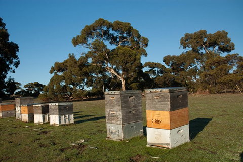 Fine Flavours - Full Day Kangaroo Island Food & Wine Tour - Accommodation Mermaid Beach 1