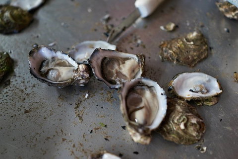 Fine Flavours - Full Day Kangaroo Island Food & Wine Tour - Accommodation Mermaid Beach 2