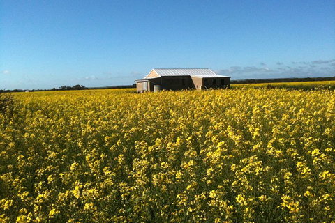 Fine Flavours - Full Day Kangaroo Island Food & Wine Tour - Accommodation Mermaid Beach 3