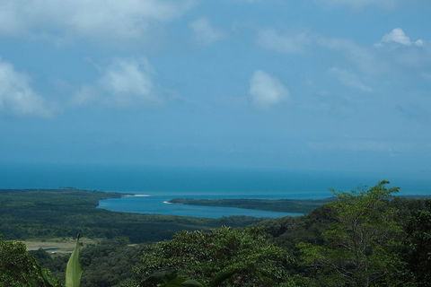Cape Tribulation, Daintree Rainforest And Wildlife Tour - Accommodation Mermaid Beach 1
