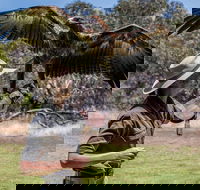 One Day Kangaroo Island Sip  See tour with return ferry transfers from Adelaide - Accommodation Mermaid Beach