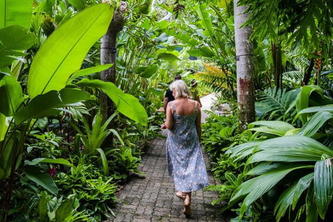 Cairns City Sights And Surrounds Tour - Accommodation Mermaid Beach 2