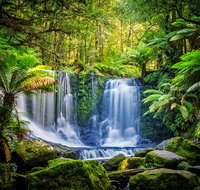 Day Tour in Mt. Field Mt. Wellington Bonorong Wildlife Sanctuary and Richmond - Accommodation Mermaid Beach