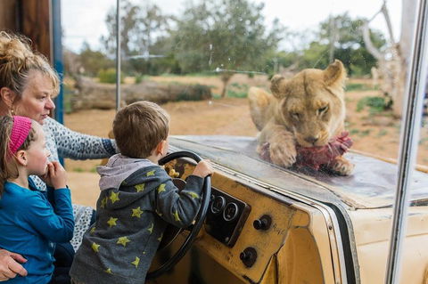 Werribee Open Range Zoo General Admission Ticket - Accommodation Mermaid Beach 4