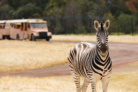 Werribee Open Range Zoo General Admission Ticket - Accommodation Mermaid Beach 5