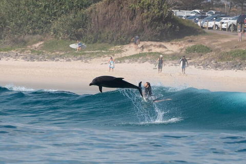 Cruise With Dolphins In Byron Bay - Accommodation Mermaid Beach 3