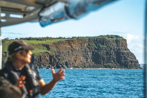 Cruise With Dolphins In Byron Bay - Accommodation Mermaid Beach 4
