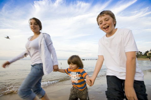 Phillip Island Penguin And Koala Highlights Day-Trip From Melbourne - Accommodation Mermaid Beach 0