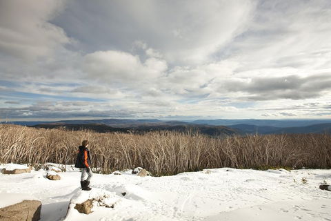 Lake Mountain Snow Trip Including Yarra Valley Chocolaterie From Melbourne - Accommodation Mermaid Beach 5