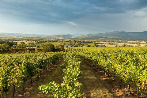 Yarra Valley Local Produce And Wine Tasting Tour - Accommodation Mermaid Beach 3