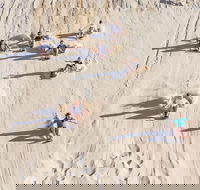 Unlimited Sandboarding - Accommodation Mermaid Beach