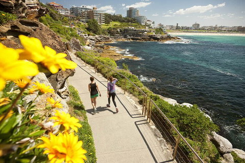 Sydney Uncovered Full-Day Tour - Accommodation Mermaid Beach 1