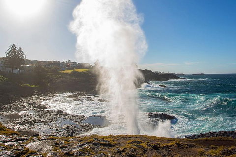 Private Tour: Sydney South Coast & Highlands - Accommodation Mermaid Beach 2