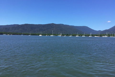 Cairns City Tour - Accommodation Mermaid Beach 3