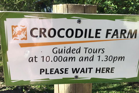 Cairns City Tour - Accommodation Mermaid Beach 5