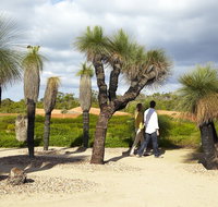 1 Day Exclusively Private Tour Of Phillip Island  The Penguin Parade - Accommodation Mermaid Beach