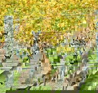 Margaret River Indulge and Discover Day Tour - Accommodation Mermaid Beach