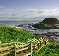 Full-Day Private Australian Wildlife Tour of Phillip Island - Accommodation Mermaid Beach