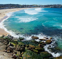 Private Sydney Foreshores and Beaches SUV Tour