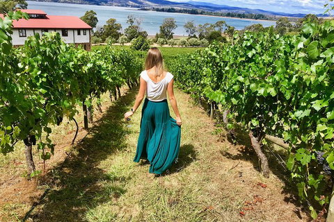 Tamar Valley Wine Tour With Lunch - Accommodation Mermaid Beach 2
