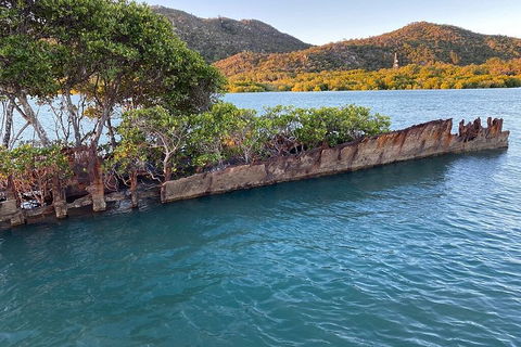 Aquascene Magnetic Island Discovery Tour - Accommodation Mermaid Beach 3