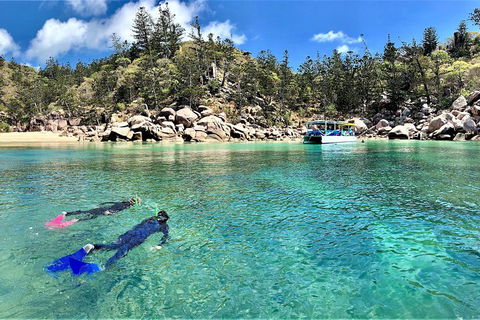 Aquascene Magnetic Island Discovery Tour - Accommodation Mermaid Beach 4