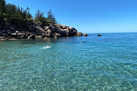 Aquascene Magnetic Island Discovery Tour - Accommodation Mermaid Beach 5