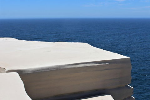 Royal National Park Tour - Accommodation Mermaid Beach 0