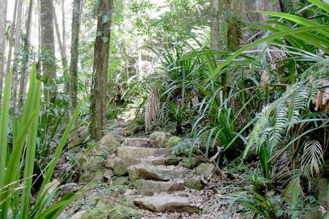 Byron Bay Combo: Minyon Falls And Hinterland Day Trip And Learn To Surf At Byron Bay - Accommodation Mermaid Beach 3