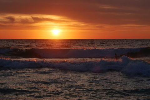 Australian Animals, Seascape And Sunset Photography Tour - Accommodation Mermaid Beach 5
