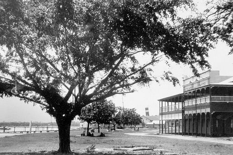 Cairns History Walking Tour - Accommodation Mermaid Beach 2