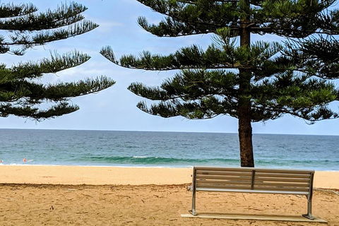 Manly & Sydney's Northern Beaches With 'Personalised Sydney Tours' - Accommodation Mermaid Beach 0