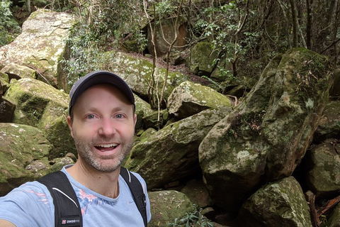 Australian Wildlife & Waterfalls Private Tour With 'Personalised Sydney Tours' - Accommodation Mermaid Beach 4