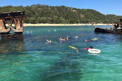 All Inclusive Dolphin And Tangalooma Wrecks Cruise - Accommodation Mermaid Beach 0