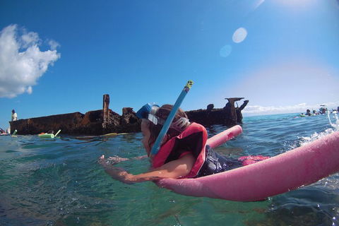 All Inclusive Dolphin And Tangalooma Wrecks Cruise - Accommodation Mermaid Beach 2