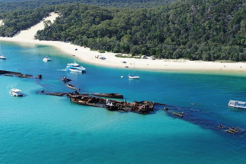 All Inclusive Dolphin And Tangalooma Wrecks Cruise - Accommodation Mermaid Beach 4