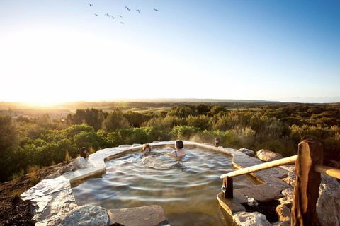 Peninsula Hot Springs & Wine Tasting - Day Tour - Accommodation Mermaid Beach 0
