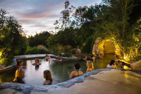 Peninsula Hot Springs & Wine Tasting - Day Tour - Accommodation Mermaid Beach 3