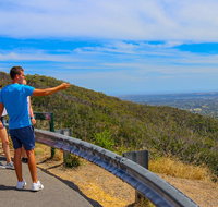 Private Tour Mornington Peninsula Family Maze and Fun - Accommodation Mermaid Beach