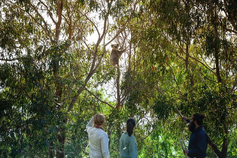 LGBT+ Friendly 3 Day Tour The Grampians, Daylesford & Ballarat - Accommodation Mermaid Beach 4