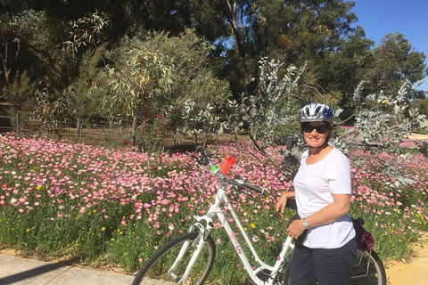 Perth Bike Tour - Beautiful Matilda Bay And Kings Park - Accommodation Mermaid Beach 1