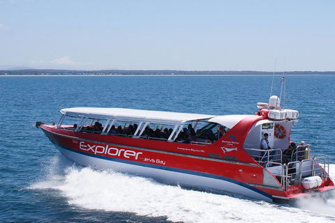 Whale Watching Jervis Bay - Accommodation Mermaid Beach 1