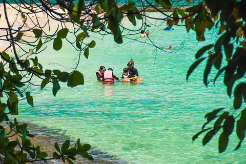 Green Island Day Trip From Cairns - Accommodation Mermaid Beach 2