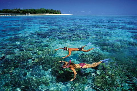 Green Island Day Trip From Cairns - Accommodation Mermaid Beach 5