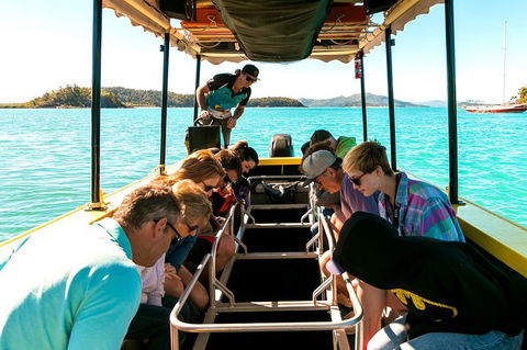 Airlie Beach Glass Bottom Boat Tour - Accommodation Mermaid Beach 1