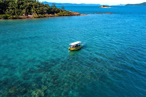Airlie Beach Glass Bottom Boat Tour - Accommodation Mermaid Beach 4