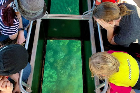 Airlie Beach Glass Bottom Boat Tour - Accommodation Mermaid Beach 5
