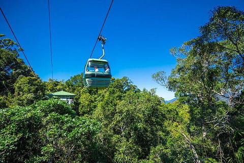 Skyrail Rainforest Cableway Day Trip From Cairns - Accommodation Mermaid Beach 1